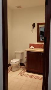 A bathroom at Las Catalinas - Studio Cazenovia centrally located, short walk to beach