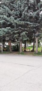 a park with a bench and trees in the background at Jermuk Mini Apartment in Jermuk