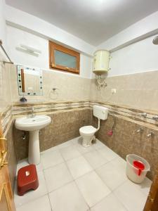 馬拉里的住宿－Attic Monkey Cafe & Rooms，一间带卫生间和水槽的浴室