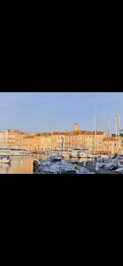 a group of boats docked in a harbor with buildings at LA DOLCE VITA MAZET A GASSIN GOLFE DE SAINT TROPEZ in Gassin