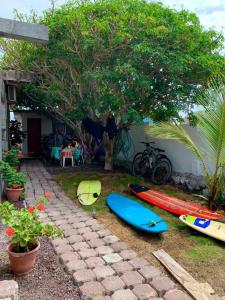 un grupo de tablas de surf alineadas al lado de una casa en La Casa de Mike, en Puerto Villamil