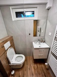 a bathroom with a toilet and a sink at Chata Barborka in Terchová