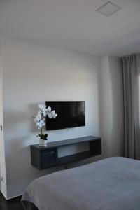 Televízia a/alebo spoločenská miestnosť v ubytovaní Apartmany u Polanských