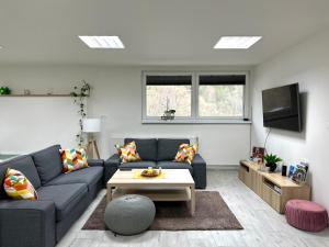 a living room with a blue couch and a tv at Apartmán Pantáreň in Čadca