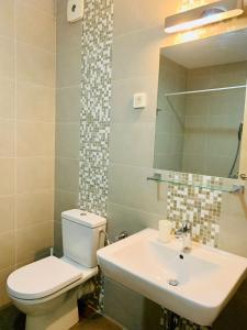 La salle de bains est pourvue de toilettes, d'un lavabo et d'un miroir. dans l'établissement Lavender Bay Apartment C22, à Kotor