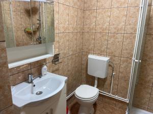 a bathroom with a toilet and a sink at Pensiunea Maria și bunicii in Tulcea