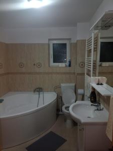 a bathroom with a tub and a toilet and a sink at Casa Găleată in Nehoiu