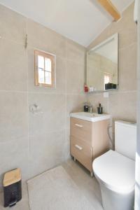 y baño con aseo, lavabo y espejo. en Wood Chalet 1 Monaco Forest La Turbie - Sleeps 5 people, en La Turbie