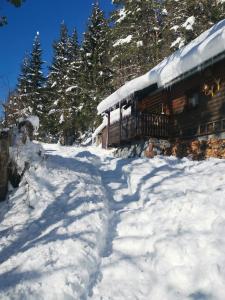 Waldhütte Glück Auf v zimě