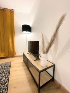 TV a/nebo společenská místnost v ubytování / Nid / paisible hyper centre