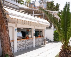 a kitchen in a building with a palm tree at Sun & Sea Suite, Kavouri in Athens