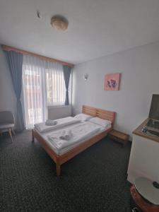 a bedroom with a bed and a large window at Apartments and Rooms Ski in Vlasic