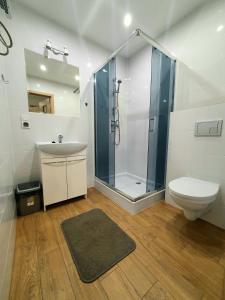 a bathroom with a shower and a toilet and a sink at Noclegi Stacja Wilkołaz 