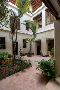 a courtyard with palm trees and a building at Amma's House in Lamu
