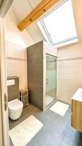 een badkamer met een toilet en een douche met een dakraam bij Au chant du coq in Wancennes