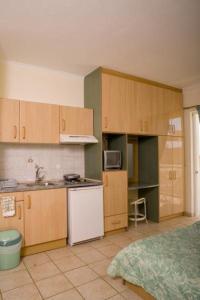 - une cuisine avec des placards en bois et un réfrigérateur blanc dans l'établissement Villa Sofia, à Skála Kefalonias