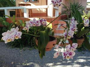 Κήπος έξω από το Chuanchom Resort