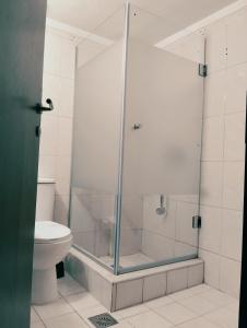 een badkamer met een glazen douche en een toilet bij Marios IsimeriaHomz in Thessaloniki