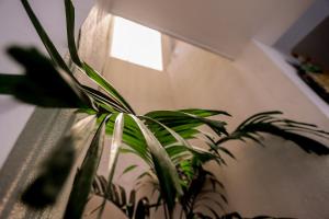 Fotografie z fotogalerie ubytování Bieshu Beach Hive v destinaci Habaraduwa Central