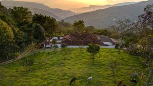 un groupe d'animaux pacant dans un champ devant une maison dans l'établissement La Hacienda, à San Gil