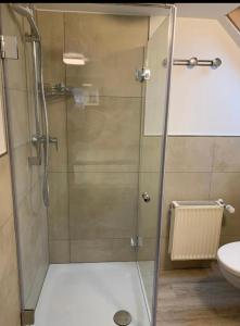 a shower with a glass door in a bathroom at B&B Malú am Ring in Müllenbach