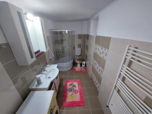 La petite salle de bains est pourvue d'un lavabo et d'une douche. dans l'établissement Casa Bucium, à Bucium