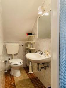 a bathroom with a toilet and a sink and a mirror at Il palombaro bianco in Pugliola