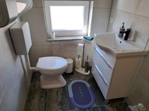 a small bathroom with a toilet and a sink at Apartments Sofie & Emily in Gornji Karin +17 photos