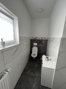 a bathroom with a toilet and a sink and a window at S&D in Kapfenberg