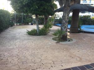 A garden outside Sol-Paraíso