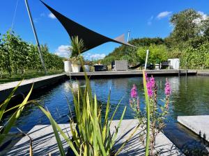 a garden with a pond and some plants at Life Contains Beautiful Things in Almere