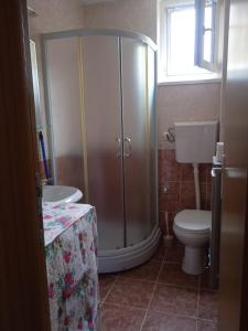a bathroom with a shower and a toilet and a sink at Benvenuto in Vrnjačka Banja