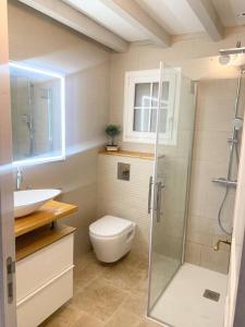 a bathroom with a shower and a toilet and a sink at 1km plage, agréable maison 6 pers classée 3* in Hendaye