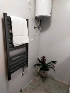 wieszak na ręczniki w łazience z rośliną w obiekcie Apartamento en el casco antiguo de Ponferrada w mieście Ponferrada