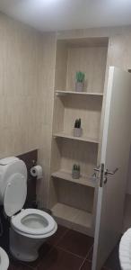 a bathroom with a toilet and shelves with plants at Casa calida y acogedora, Capital Mendoza in La Cieneguita