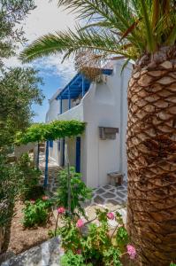 Zahrada ubytování Golden Beach Glyfada Studios