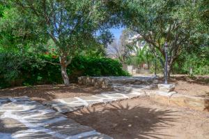 Zahrada ubytování Golden Beach Glyfada Studios