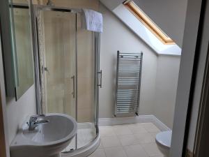 uma casa de banho com um chuveiro, um lavatório e um WC. em Dunquin House Bed and Breakfast em Dunquin