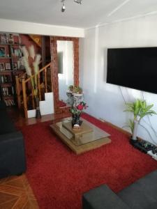 a living room with a red rug and a flat screen tv at Los Laguitos in Santiago