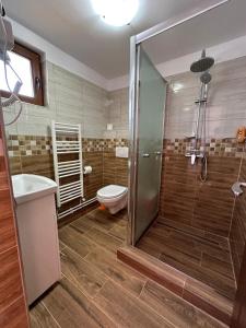 a bathroom with a shower and a toilet and a sink at Casa din Deal Crisbomir - BRAN in Predeluţ