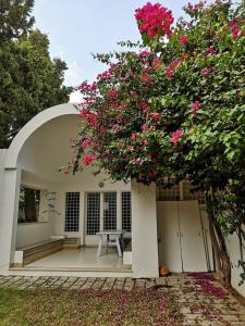 un grande albero con fiori rosa su un edificio di Villa meublée à Monastir wifi illimité a Monastir