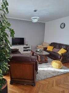 a living room with leather couches and a tv at Apartments Svetić in Novi Vinodolski