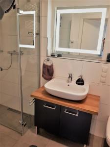 a bathroom with a sink and a shower at Ferienwohnung MeerZeit EG in Altefähr