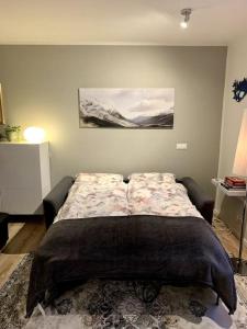 1 dormitorio con 1 cama grande en una habitación en Cosy one bedroom apartment in Reykjavík, en Reikiavik