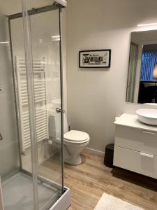 a bathroom with a shower and a toilet and a sink at Cosy one bedroom apartment in Reykjavík in Reykjavík