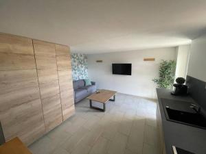ein Wohnzimmer mit einem Sofa und einem TV in der Unterkunft Appartement neuf avec jacuzzi privatif et piscine in Seillans
