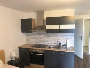 Kuchyň nebo kuchyňský kout v ubytování Apartment Panoramablick 2