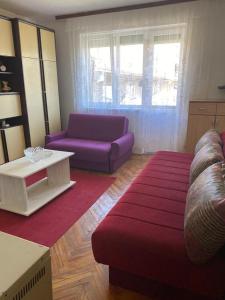 sala de estar con sofá púrpura y mesa en Stan na dan Boljevac, en Boljevac