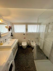 a bathroom with a toilet and a sink and a shower at Zentrale Idylle in Kempten in Kempten