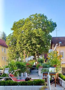 a garden with a lot of plants and a tree at Zentrale Idylle in Kempten in Kempten